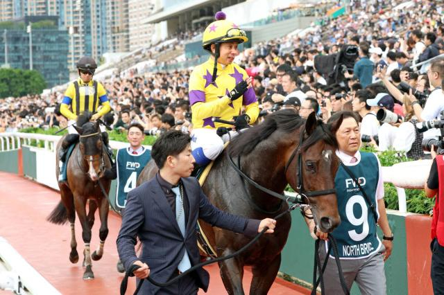 香港チャンピオンズデーに出走した日本馬8頭が無事に帰国
