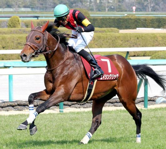 2022年阪神スプリングJ優勝のエイシンクリックが引退　阪神競馬場で乗馬になる予定