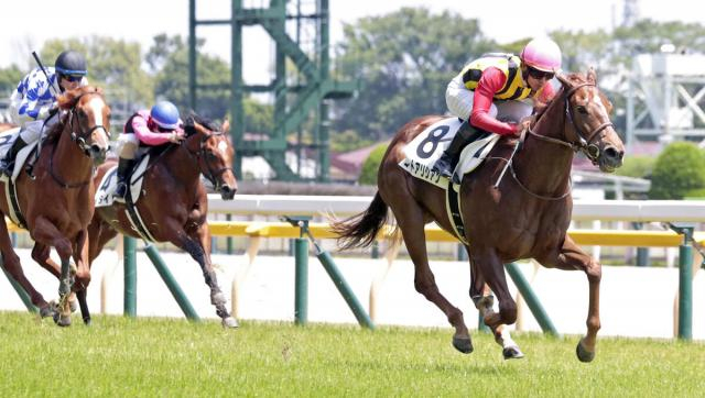【東京5R・2歳新馬】コートアリシアンが5馬身差快勝!　新種牡馬サートゥルナーリア産駒が初勝利
