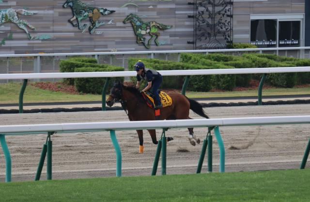 【クイーンS】モリアーナが札幌競馬場のダートコースで1週前追い切り　武藤雅騎手「体が成長している」