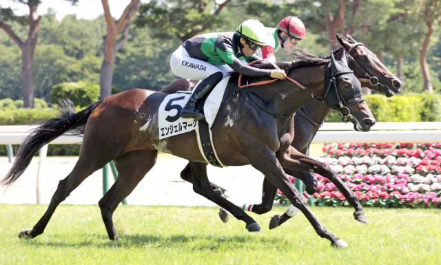 【新潟5R・2歳新馬】エンジェルマークが超良血馬同士の対決を制す　川田将雅騎手「この後の成長も楽しみです」