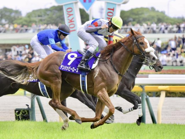 秋競馬が開幕！ セントウルSなど3重賞/今週の競馬界の見どころ