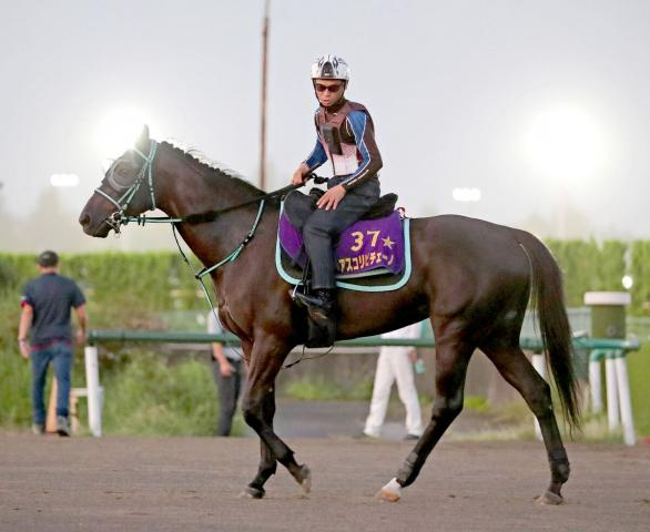 【京成杯AH】ハンデ決定　アスコリピチェーノは55・5キロ　池添厩舎の2頭がトップハンデ58キロ