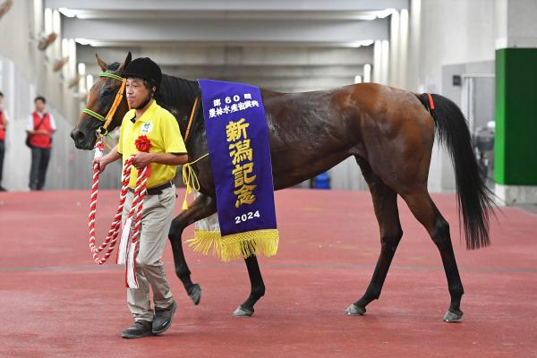 【セントウルS AI予想】大きな不安要素は見当たらない!? AIが指名した実績馬を徹底分析