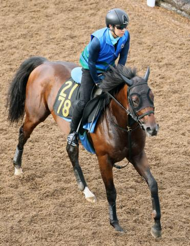 【注目馬動向】不来方賞2着のカシマエスパーダはジャパンダートクラシックが目標