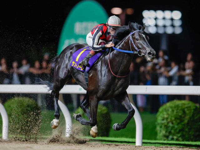 【川崎・戸塚記念結果】サントノーレが6馬身差の圧勝！重賞3勝目を挙げる