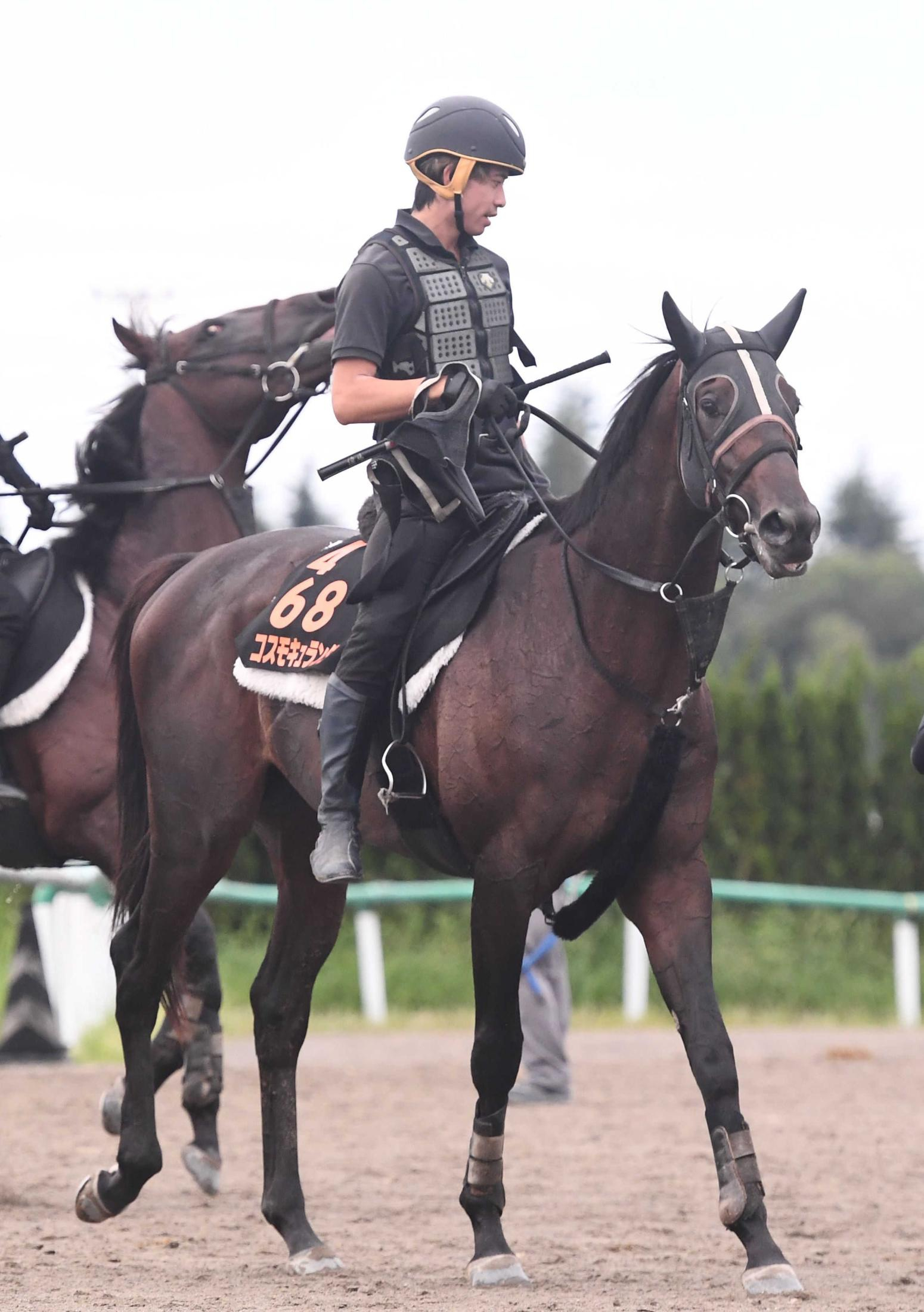 【セントライト記念】コスモキュランダ秋初戦　得意の中山で好発進だ　加藤士師「（気性面）春よりもいいですね」