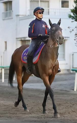 【ローズS】日本ダービー5着馬がキャリア初の牝馬限定戦で存在感見せつける