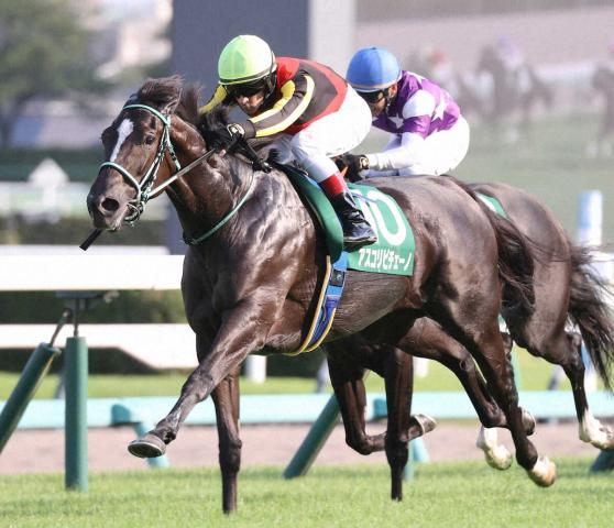 1着賞金5億円!豪ゴールデンイーグル登録馬発表　日本馬はアスコリピチェーノ、コラソンビートの2頭