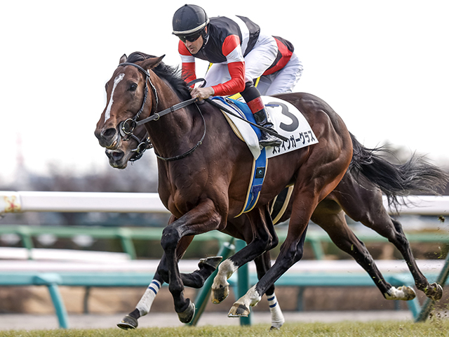 【セントライト記念】武豊騎手が史上初の偉業をかけて14年ぶりに参戦 スティンガーグラスで初制覇なるか