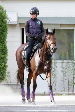 【ローズS・馬トーーク】“別次元”末脚の持ち主が“勝負駆け”気配!　骨折明け使って上昇の1勝馬は一発に期待