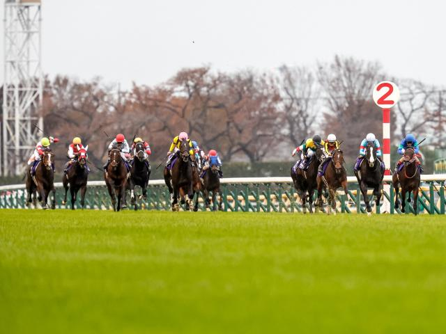 天皇賞(秋)・ジャパンC・有馬記念は入場券の当日現金発売を実施せず JRAが発表