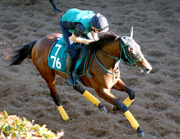 【POG】軽快な動きをみせるピリナマアナ　鮫島克駿騎手「この時期にデビューできるのはいいですね」