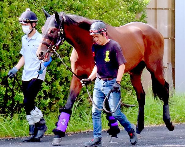 【注目馬動向】皐月賞馬ジャスティンミラノが北海道から帰厩　友道調教師「いい夏を過ごせたと思う」