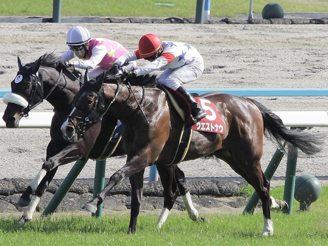 【神戸新聞杯想定馬・騎手】ウエストナウ、メイショウタバルなど15頭