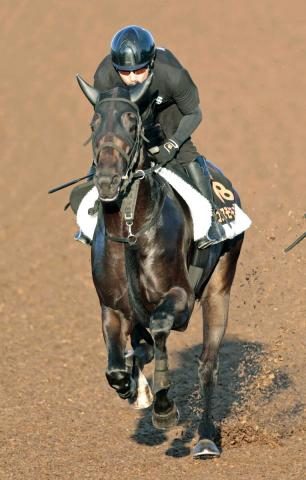 【セントライト記念】報知杯弥生賞馬コスモキュランダは5枠8番　アーバンシックは最内1番　枠順確定