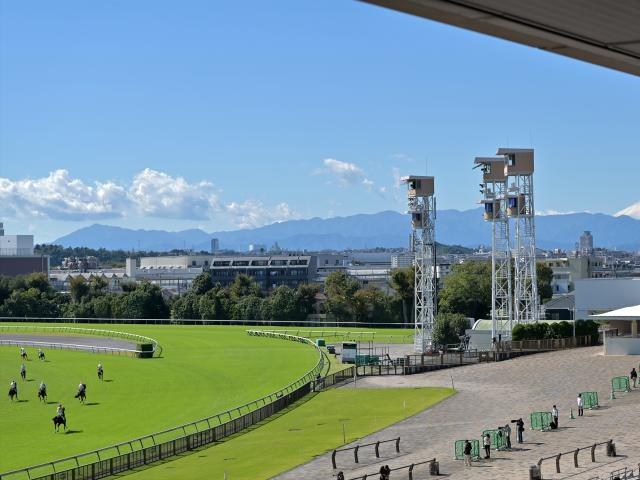 JRAがウイナーズサークル周辺の観戦ルールを設定 全競馬場で10月5日から適用