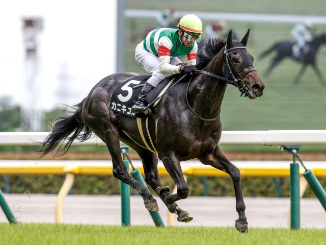 【ローズS予想】スタミナ要求される中京芝2000 前走からの距離延長馬が苦戦する理由とは