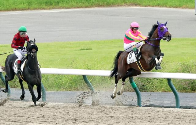 【中京4R・2歳新馬】ルメール騎手が落馬も乗り替わりはなし　5R以降も継続し騎乗