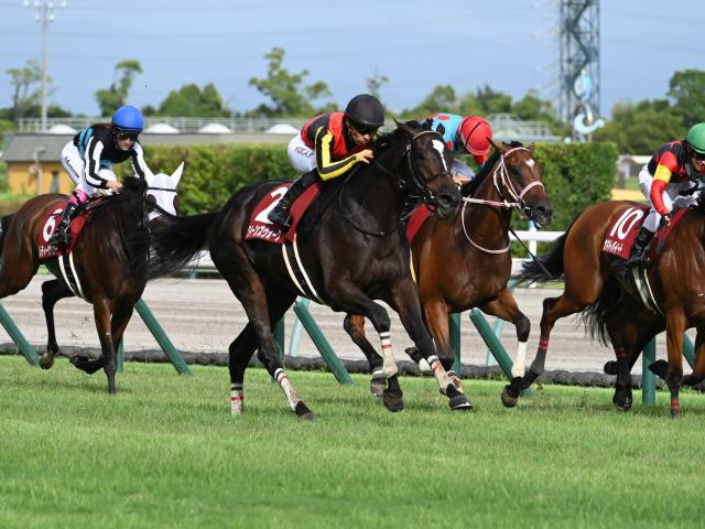 【JRA・WIN5】2・3レース目の波乱で的中わずか4票！ 配当1億768万4230円