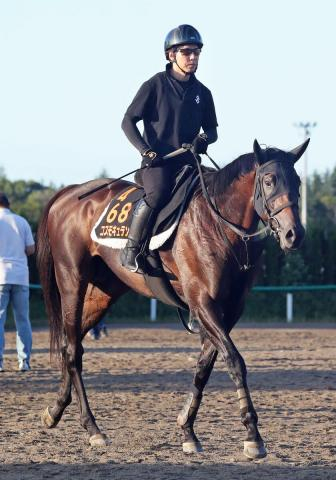 【セントライト記念】武豊騎手初騎乗のキズナ産駒など5頭が前日単勝オッズ10倍以下の混戦模様