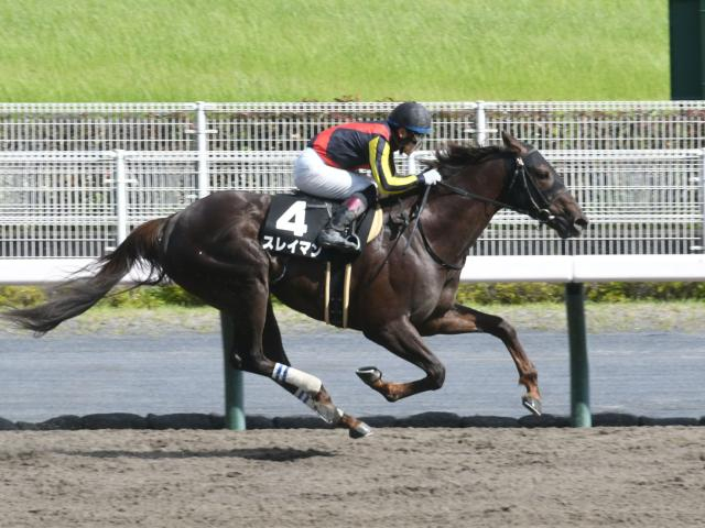 【浦和・オーバルスプリント枠順】重賞初制覇を狙うスレイマンは4枠4番 今年は7頭立て