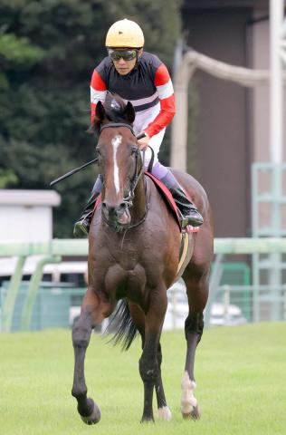 【セントライト記念】武豊騎手は初コンビのスティンガーグラスで5着「はじけそうな感じはあったが…」