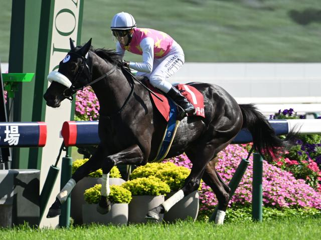 菊花賞TR神戸新聞杯と古馬GIIのオールカマー/今週の競馬界の見どころ