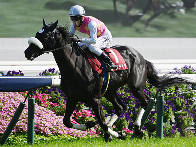 【神戸新聞杯想定騎手】ジューンテイクは藤岡佑介騎手、メリオーレムは川田将雅騎手