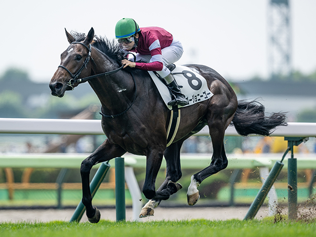 【神戸新聞杯】「ウマ娘」藤田晋オーナーの1億円馬 ゴージョニーゴーが重賞初制覇なるか