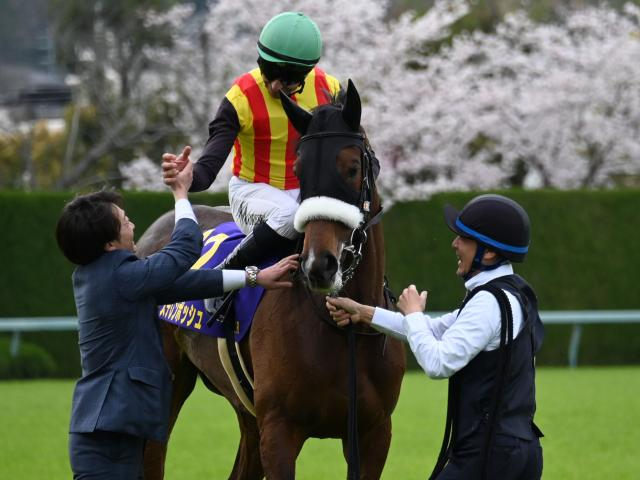 【秋華賞】ステレンボッシュ、チェルヴィニアらが登録