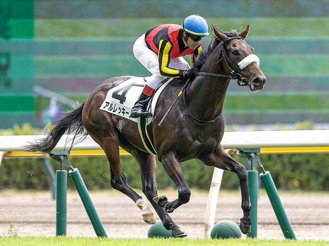 【サウジアラビアRC想定騎手】アルレッキーノはC.ルメール騎手、ヒシアマンは藤岡佑介騎手