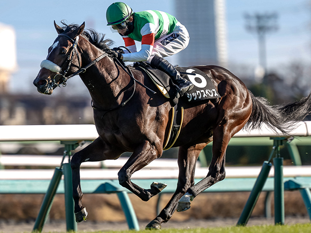 【毎日王冠想定騎手】シックスペンスはC.ルメール騎手、ローシャムパークは戸崎圭太騎手