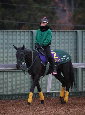 【大井11R・レディスプレリュード】アーテルアストレア3着　武豊「思った通りの競馬ができたが…」