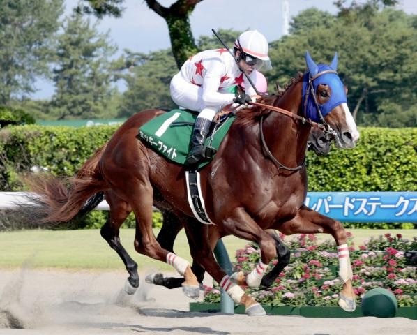 【ジャパンダートクラシック】2強より展開面で優位!南関東担当記者の予想はミッキーファイトに逆転の可能性