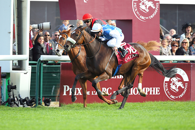 「勝ち馬が2頭いた」と称えられた馬も… 凱旋門賞で頂点をつかみかけた日本馬3頭