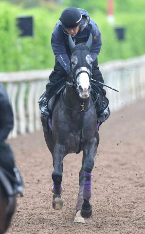 武豊騎手は菊花賞でアドマイヤテラに騎乗　19年Vワールドプレミアの友道厩舎とコンビで6勝目狙う