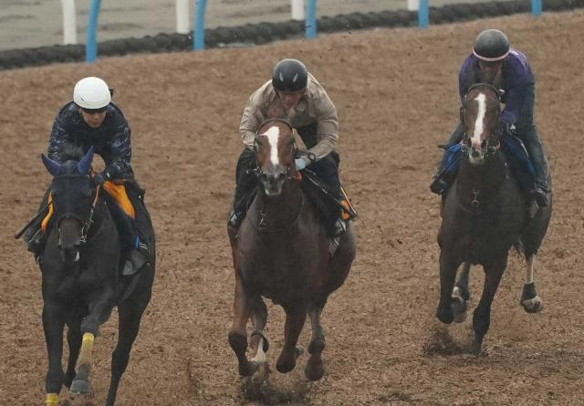 【毎日王冠】ローシャムパーク　馬なりで加速!田中博師「リズムは整っている。良い動き」