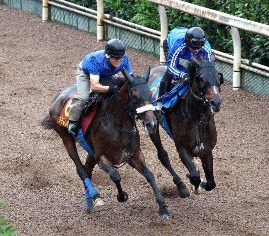 【秋華賞1週前追い】ステレンボッシュ　力強く坂路併入!陣営「体の成長を感じます」