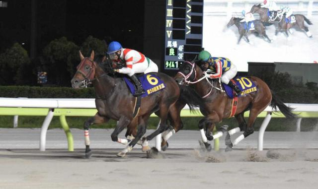 【大井・東京盃】チカッパ重賞連勝!3歳新星が古馬蹴散らした、横山典「将来楽しみ」