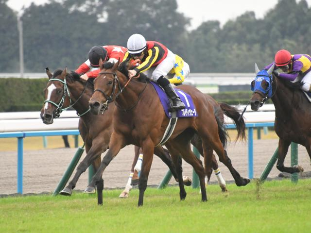 【府中牝馬S想定馬・騎手】ブレイディヴェーグ、ミッキーゴージャスなど