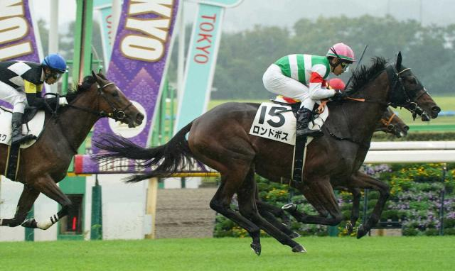 【東京新馬戦】ロンドボス　首差捉えて快勝!戸崎「凄く乗りやすかった」