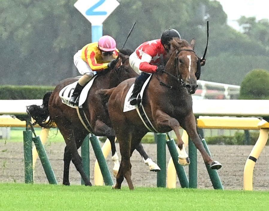 【新馬戦】レッドキングリー　４馬身差の圧勝　北村宏「いいパフォーマンスでした」