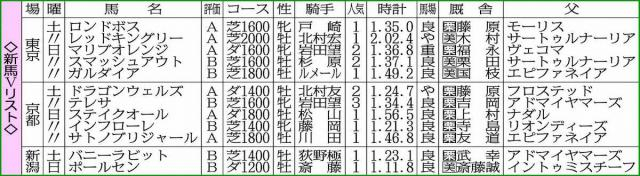 【新馬戦総括】レッドキングリー大器予感　ドラゴンウェルズ“世界級”素質