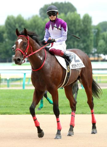 【注目馬動向】メリディアンスターの京王杯2歳S鞍上はシュタルケ騎手を予定