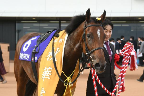 【秋華賞予想】末脚の重要度が高い馬場で行われる秋華賞