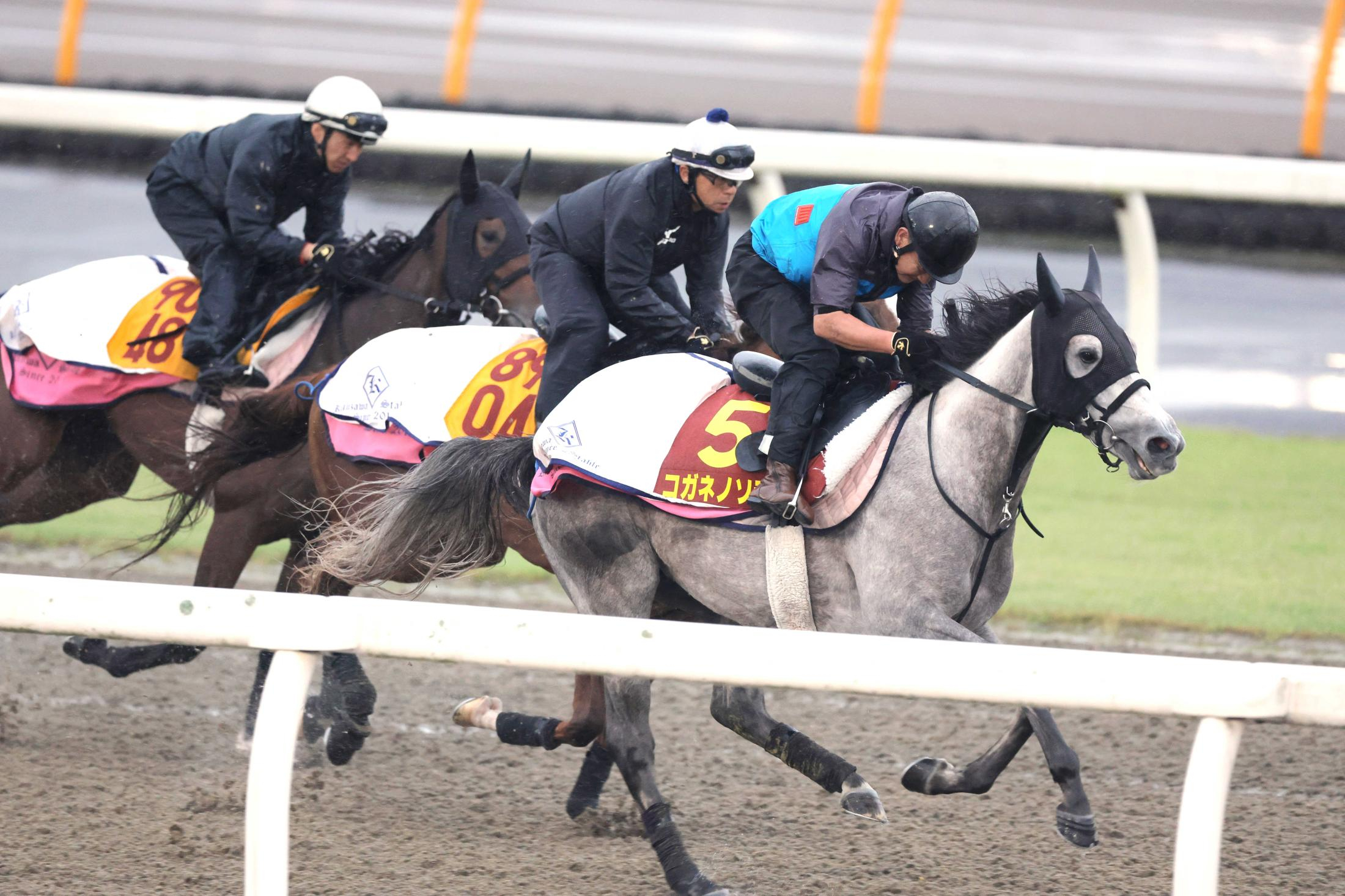 【秋華賞】コガネノソラ夏から元気　美浦Ｐでしまい重点、菊沢師「順調」　メンバー最多４勝、セールスポイント抜群の操縦性