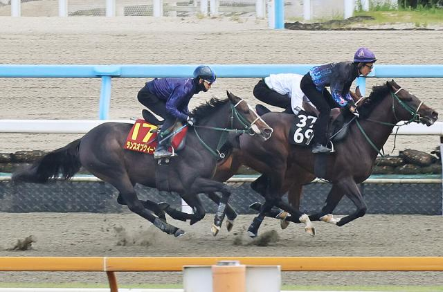 【秋華賞】20年の3冠牝馬デアリングタクトを思い出す　新コンビ松山弘平騎手が2週連続で追い切り騎乗