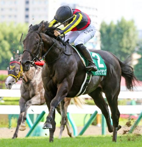 【注目馬動向】札幌2歳S勝ち馬のマジックサンズはホープフルSでの復帰が目標