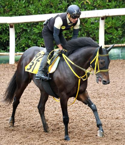 【府中牝馬S】モズゴールドバレルはCWコースでラスト11秒2　藤岡調教師「疲れもなくフレッシュ」